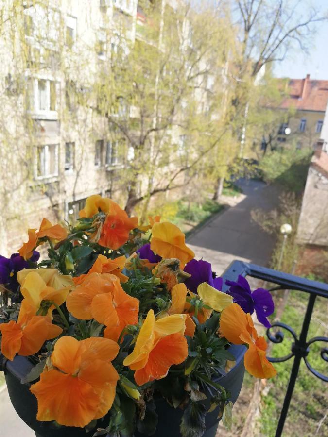 Class Apartment Szeged Eksteriør bilde